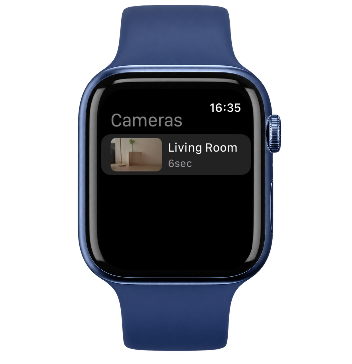 Fricam camera view on Apple Watch
